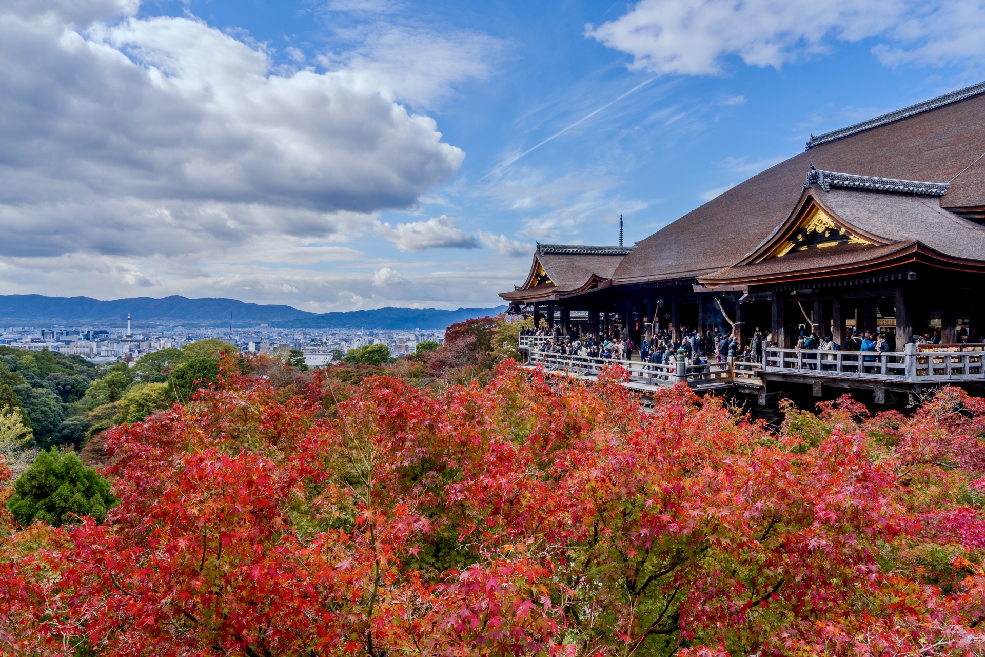 7 Best Places to See Autumn Colours in Kyoto 4 33024842 m