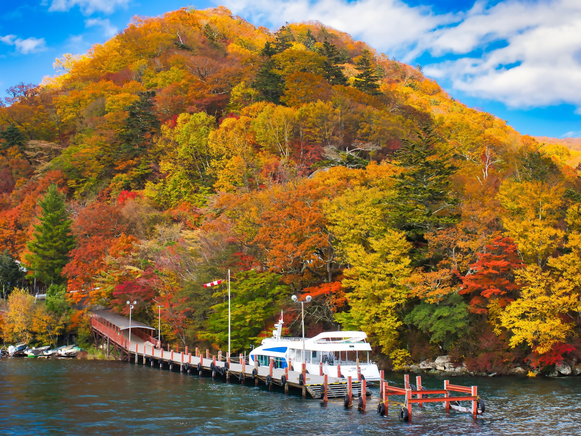 Nikko in Autumn: A Scenic Day Trip from Tokyo 3 3323697 m 1
