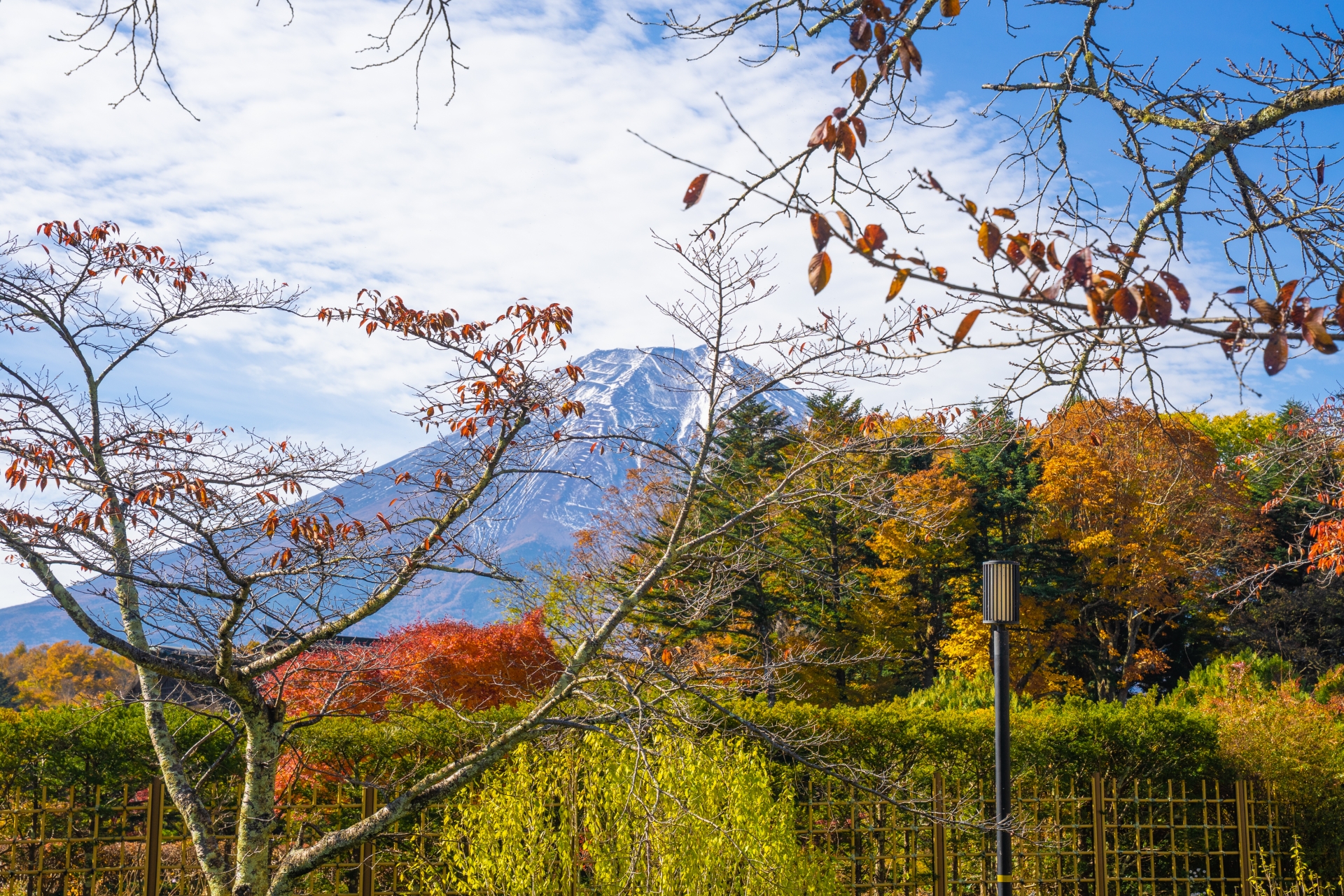 Mt. Fuji in Autumn: 7 Beautiful Places to See Japan’s Iconic Mountain 10 33415487 m 1