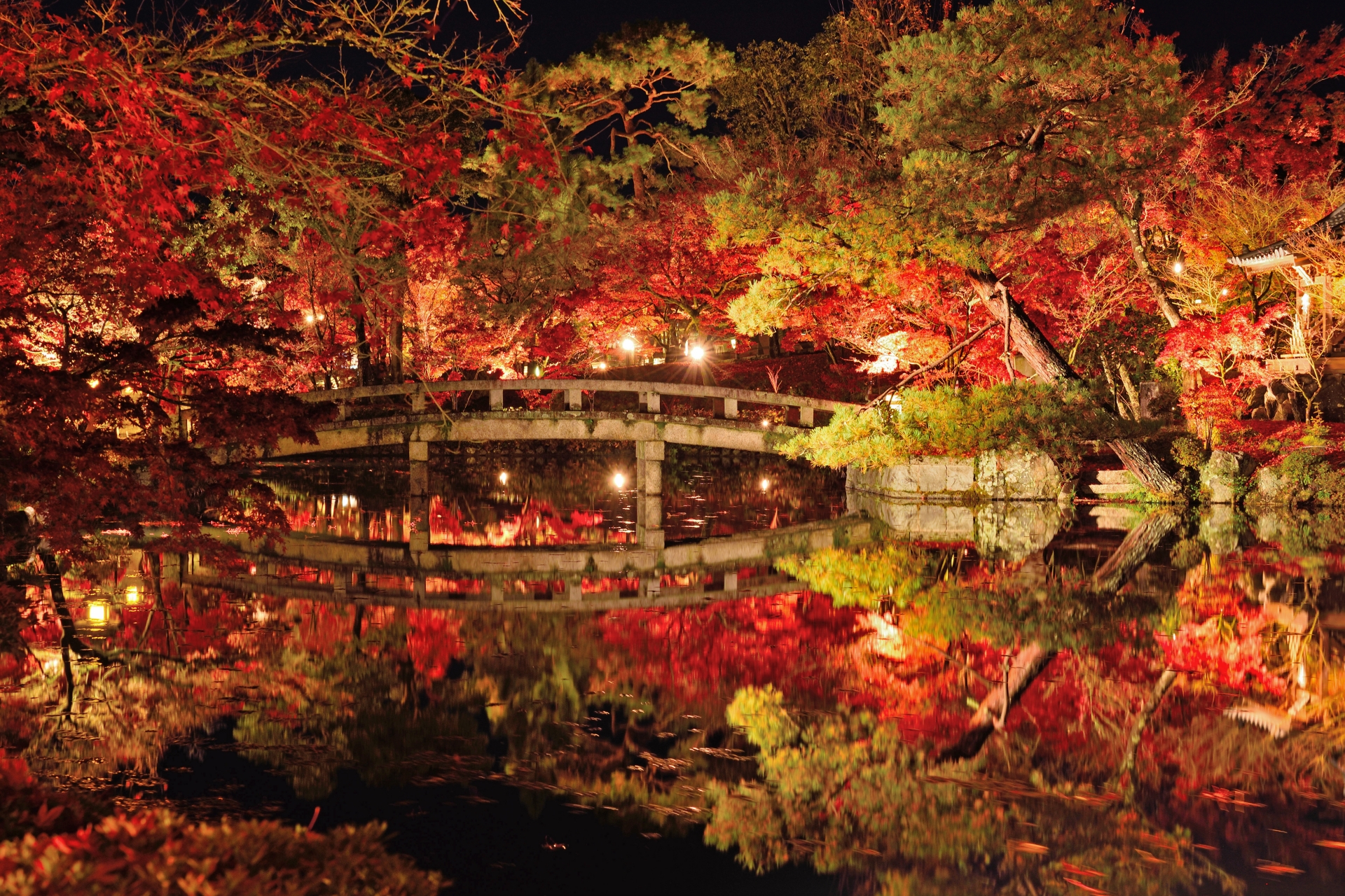 7 Best Places to See Autumn Colours in Kyoto 7 4065225 m 1