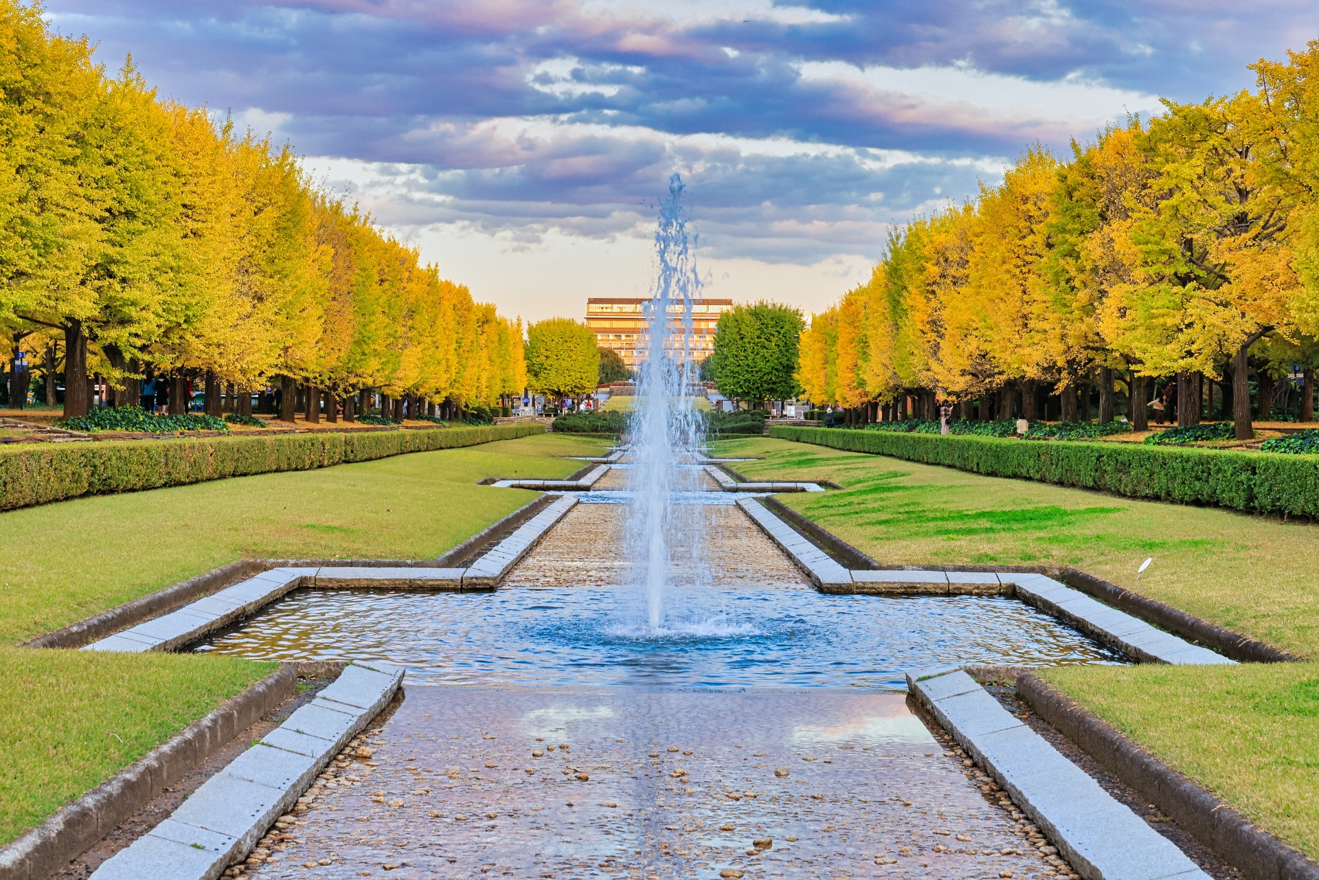 7 Beautiful Autumn Foliage Spots in Tokyo to Add to Your Tokyo Itinerary 7 4137922 m