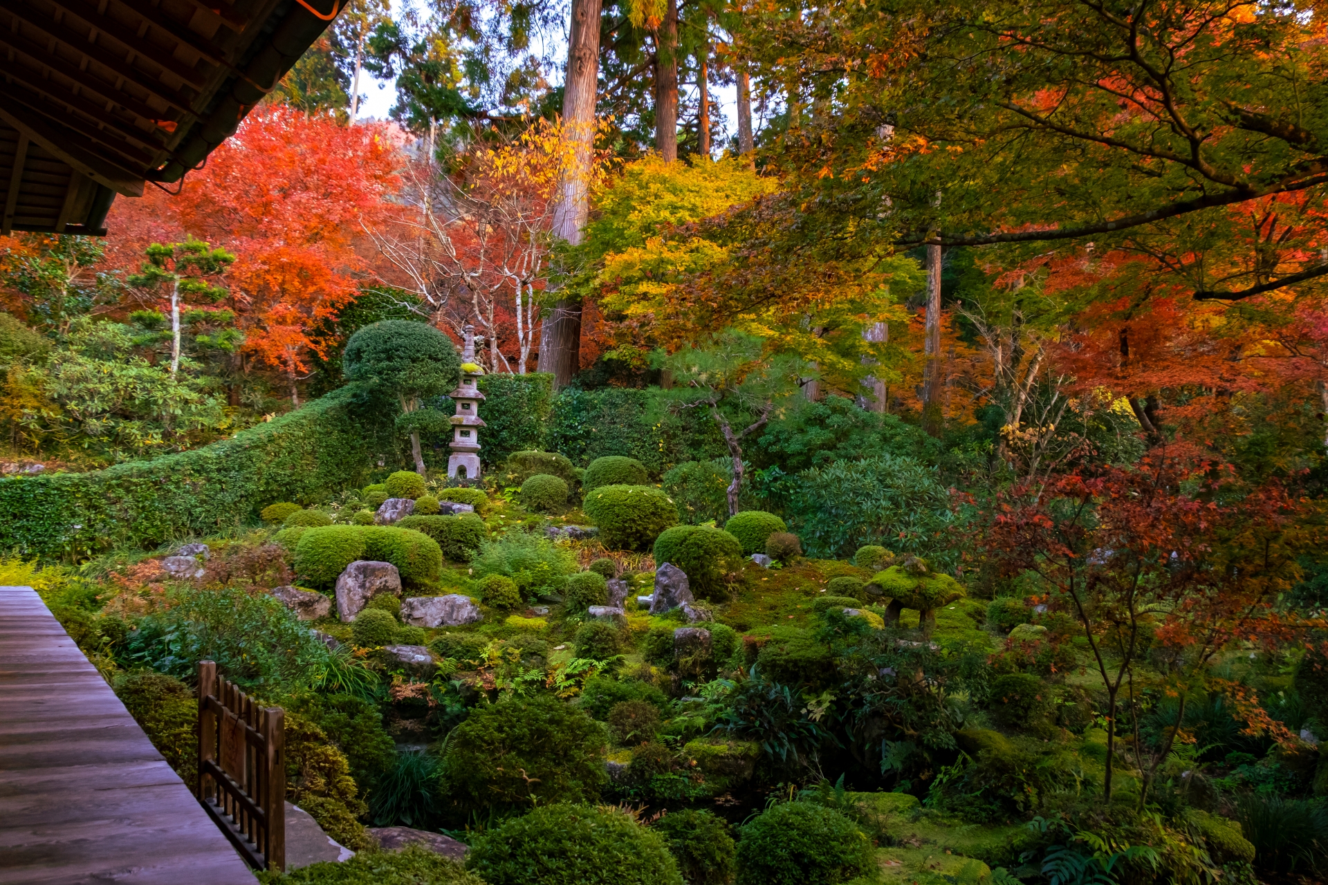 7 Best Places to See Autumn Colours in Kyoto 10 4229948 m